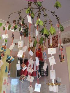 a tree with pictures hanging from it's branches