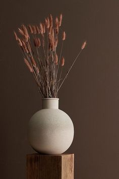 a white vase sitting on top of a wooden block filled with dry grass in front of a brown wall