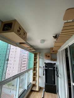 a cat sitting on top of a wooden shelf next to a window with lots of shelves