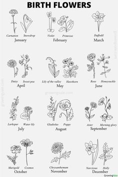 birth flowers Birth Flowers By Month, Flowers By Month, Locket Picture, Necklace Photo, Birth Flower Tattoos, Picture Locket, Feminine Tattoo, Round Locket