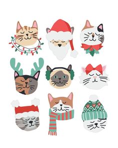 a group of cats wearing christmas hats and scarves