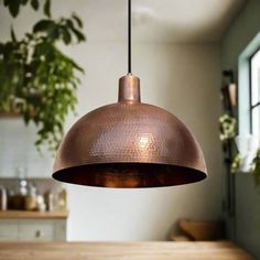 a copper colored pendant light hanging from a ceiling in a kitchen with potted plants