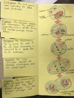 a piece of paper with writing on it and pictures of different things in the diagram