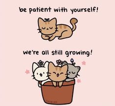 three cats in a pot with the caption be patient with yourself we're all still growing