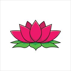 a pink lotus flower with green leaves