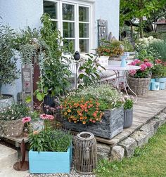 an outdoor garden area with various plants and flowers in containers on the side of a house