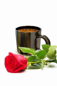 a cup of coffee and a rose on a white background