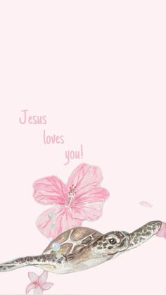 a painting of a turtle with pink flowers on it's back and the words jesus loves you