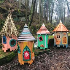 colorful bird houses are lined up in the woods