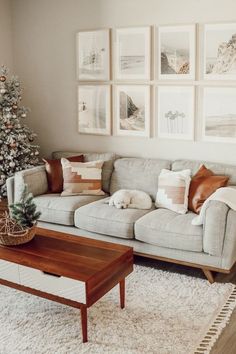 a living room decorated for christmas with pictures on the wall and a dog sleeping on the couch