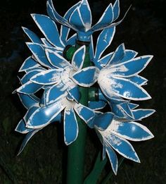 a blue and white flower is in the grass at night with light shining on it