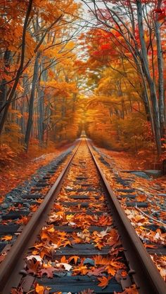 a train track with leaves on the ground and trees in the fall colors behind it