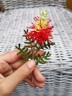 a hand holding a small red and yellow flower