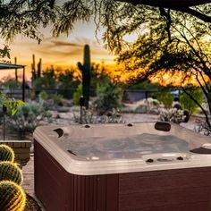 a hot tub sitting in the middle of a garden next to cacti and trees