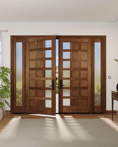 a room with two doors and a rug on the floor in front of it that has a potted plant next to it