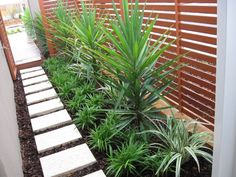 a small garden area with plants and stepping stones