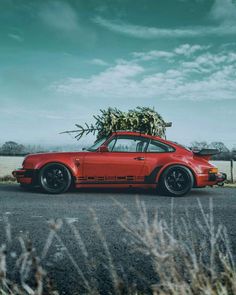 a red car is parked on the side of the road with a tree on top