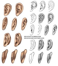 an assortment of different types of ear piercings