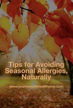 Tips for Avoiding Seasonal Allergies, Naturally – Journey With Healthy Me Avoid Seasonal Allergies Natural Remedies for Fall Allergies Stop Fall Allergies Home Remedies For Allergies, Fall Allergies, Healthy Journey, Natural Remedies For Allergies, Allergy Remedies, Seasonal Allergies, Health And Fitness Articles