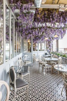 an outdoor dining area with wistery vines hanging from the ceiling and white chairs