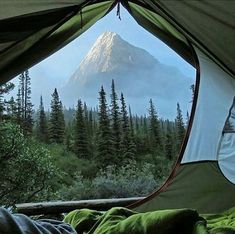 a tent is set up in front of a mountain with trees and fog on the ground