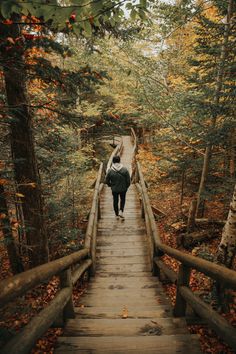 a person walking across a wooden bridge in the woods with trees and leaves on both sides