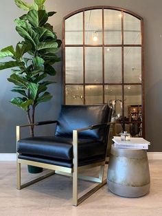 a black leather chair sitting next to a tall potted plant