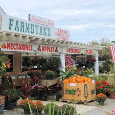 an outdoor farmers market with oranges and apples in boxes on the outside, surrounded by potted plants