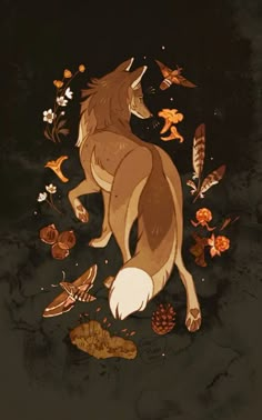 Fox Animal, A Wolf, Not Mine, A Dog, Fox, Flowers