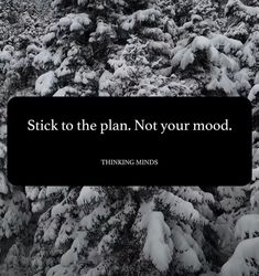 the words stick to the plan not your mood on a black and white photo of snow covered trees