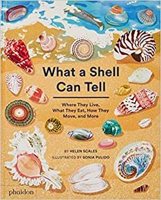 the book cover for what a shell can tell, with pictures of shells and seashells