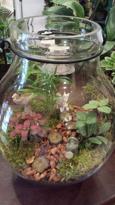 a fish bowl filled with plants and rocks