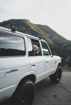 a dog is sticking its head out the window of a white suv with mountains in the background