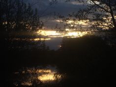 the sun is setting behind some trees and water