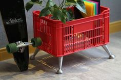 a red shopping cart with a green plant in it and a skateboard next to it