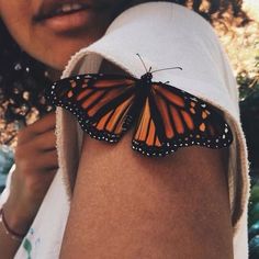 a close up of a butterfly on a person's arm with the words captured above it