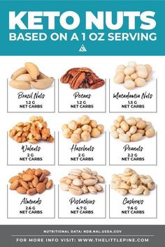 *NEW* Everything you need to know about low carb keto nuts and seeds! From carbs counts to a printable and searchable list! #lowcarb #keto #glutenfree #grainfree #healthy #recipe #snacks #lchf #sunflowerseeds #pecans #brazilnuts #cashews #walnuts #almonds Resep Diet, Ketogenic Diet For Beginners, Ketogenic Diet Plan, Keto Diet Food List, Keto Food List, Makanan Diet, Carb Snacks