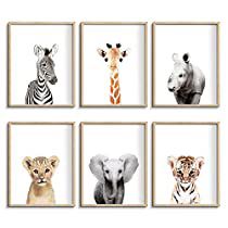 six framed pictures of different animals