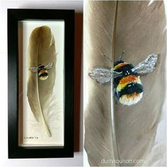 two framed pictures of a bee and a feather