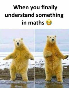 two polar bears standing next to each other with the caption when you finally understand something in maths