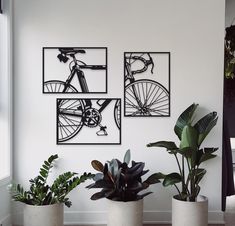 three potted plants sit in front of two black and white pictures on the wall