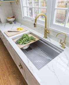 a kitchen sink with a cutting board on the bottom and some vegetables in front of it