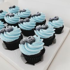 cupcakes with blue frosting and black berries on top