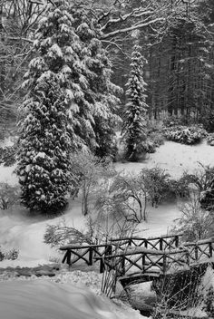 a black and white photo of snow covered trees and a small bridge over a stream