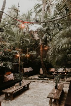 an outdoor seating area with benches, lights and palm trees in the backgroud