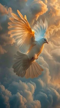 a white bird flying through the air with clouds in the background