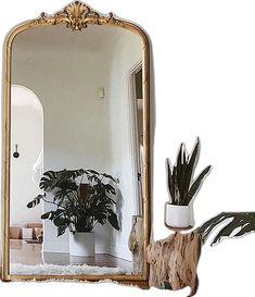 Golden Carved Arched Wooden Floor Mirror Mirror Standing, French Designs, Aesthetic Rooms, Junior Year, Standing Mirror, Wooden Floor, Dream Apartment, Floor Mirror, Delicate Flower