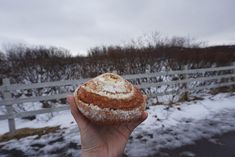 a person holding up a doughnut in front of a fence and snow covered ground