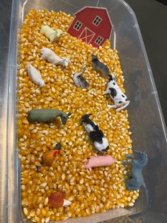 a plastic container filled with corn and farm animals