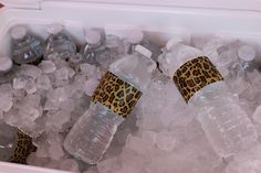 two plastic water bottles sitting in ice with leopard print wrappers on the top and bottom